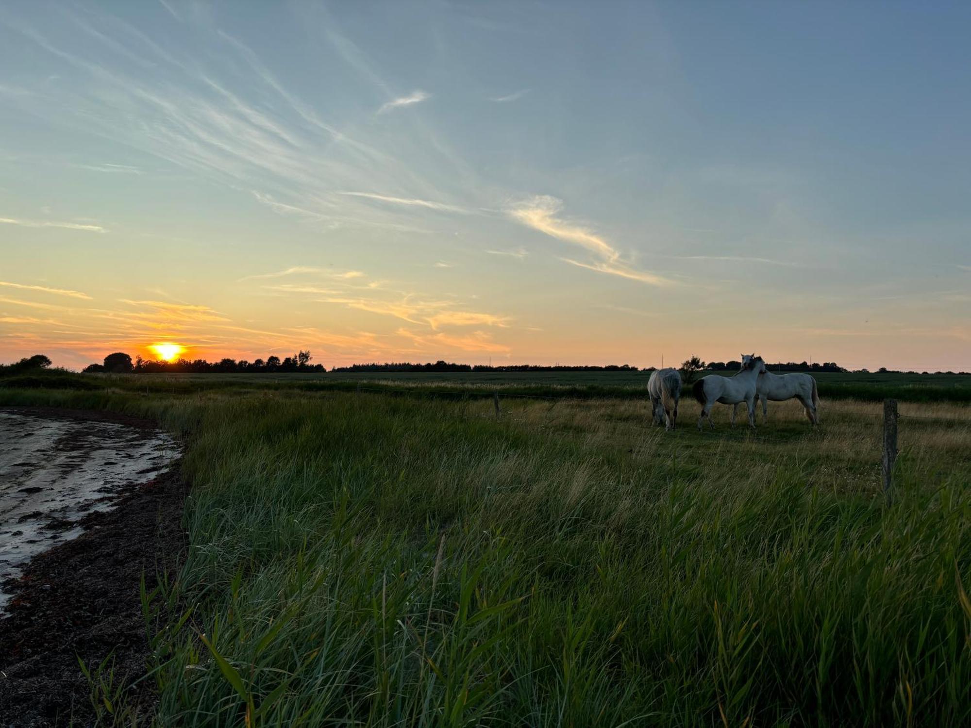 Nedlagt Gard I Naturen Med Ro Og Fred Og Samtidig Taet Pa Strand Og Fiskeri Og Indkobsmuligheder Nordborg Exterior foto